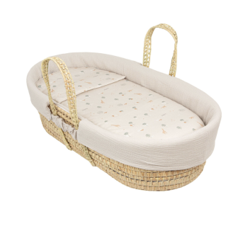 Moises Capazo Mimbre...