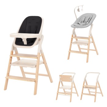 Trona Evolutiva 4 en 1 Ergo...