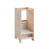 Torre de aprendizagem Evolutiva Trotta Micussori Micuna